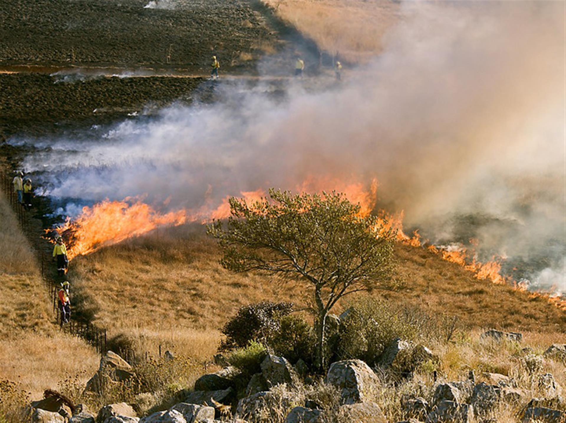 Φωτιά σε εξέλιξη στο Νέο Ικόνιο